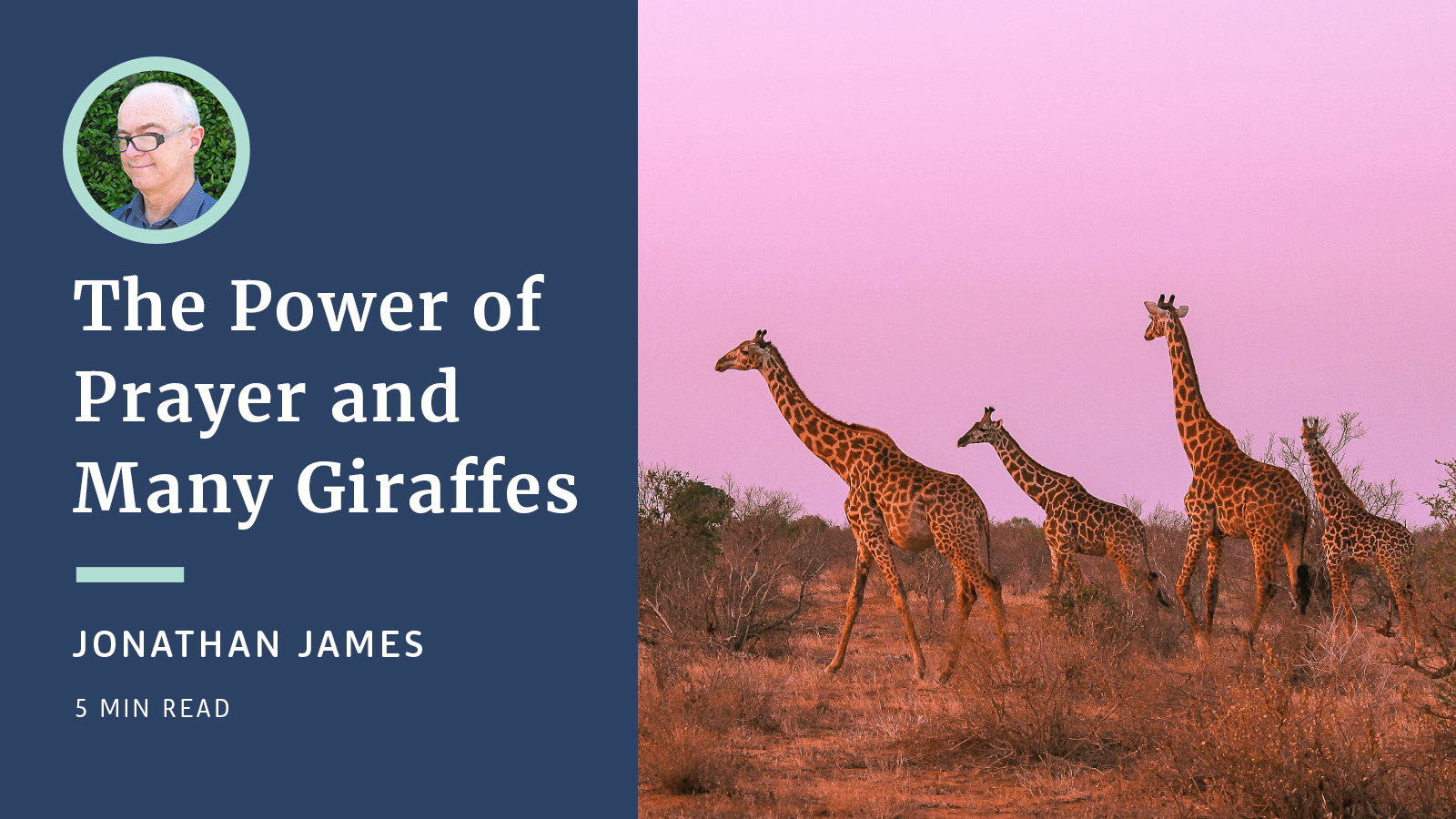 Image - The Power of Prayer and Many Giraffes